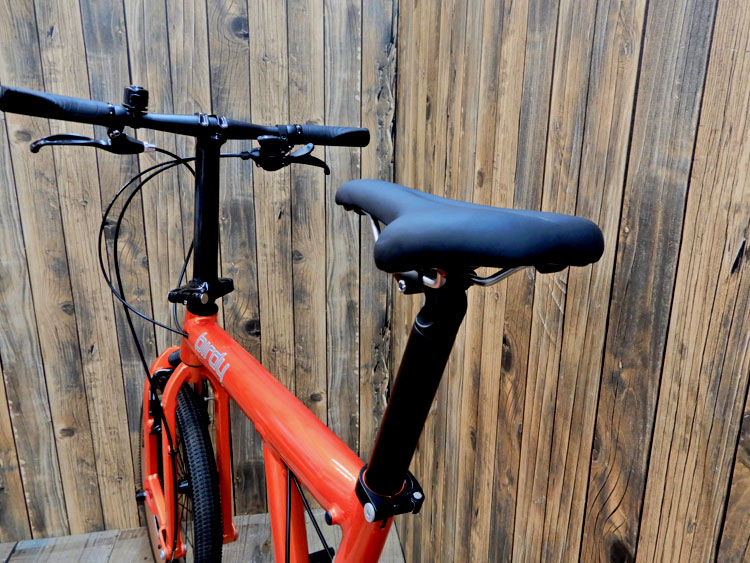 NEW Birdy CLASSIC Little Custom
