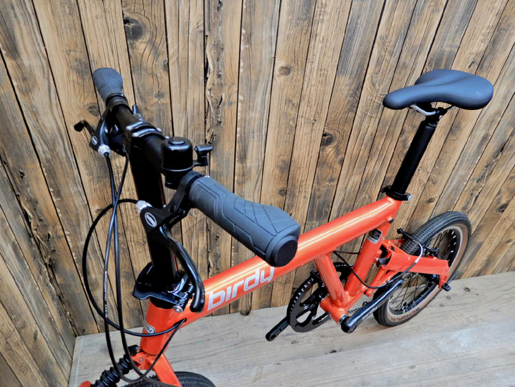 NEW Birdy CLASSIC Little Custom