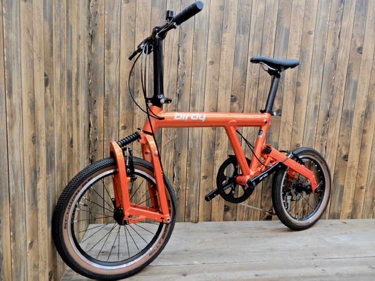 NEW Birdy CLASSIC Little Custom
