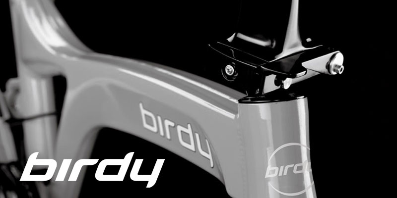 Birdy̐܂肽ݎ]