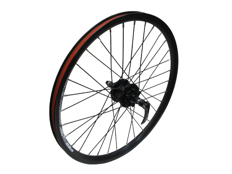 Birdy Disc 20inch Wheel Set