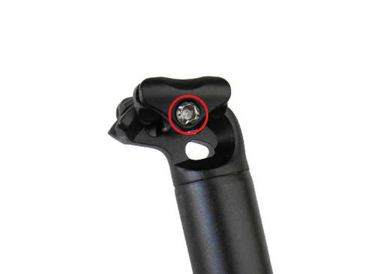 Birdy Seat Post Bolt